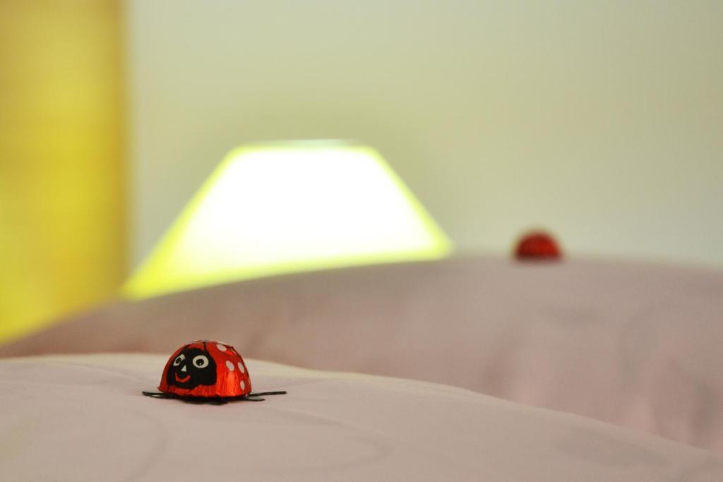 Aparthotel Zorilor クルージュ＝ナポカ 部屋 写真